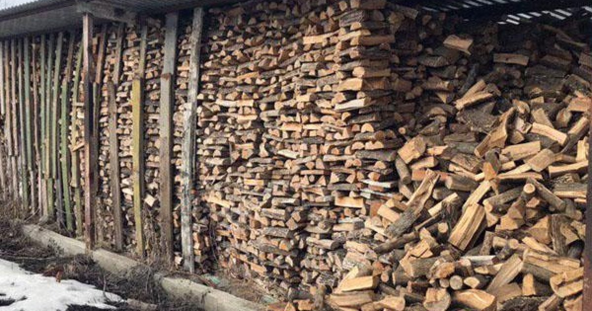 Под Славянском задержана бригада \"черных\" лесорубов — Karachun