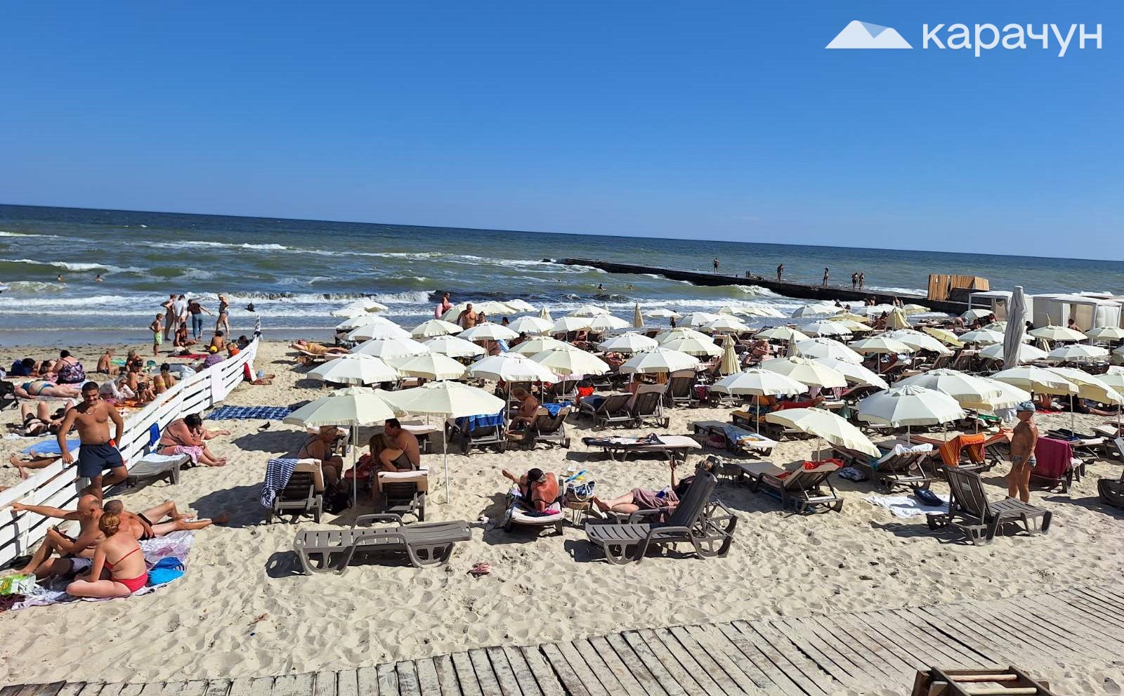 Оксамитовий сезон — час для справжніх «гурманів моря»