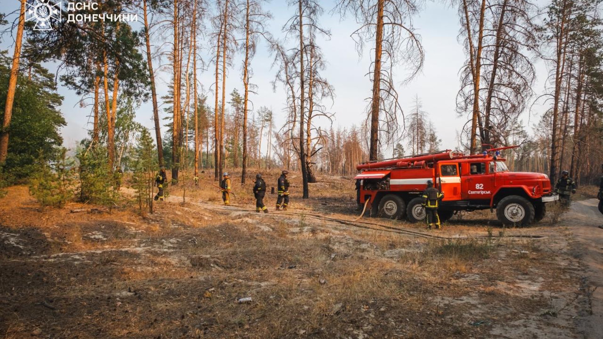 Кілька діб триває лісова пожежа на Лиманщині