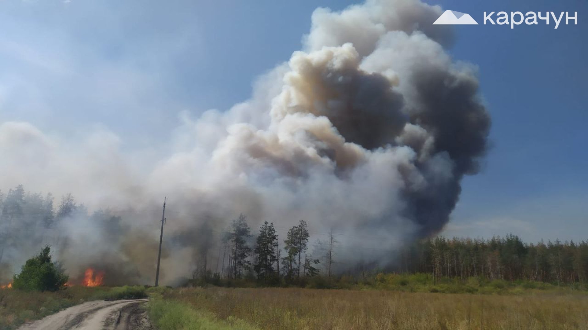 Лісова пожежа знищила частину будинків у Яровій