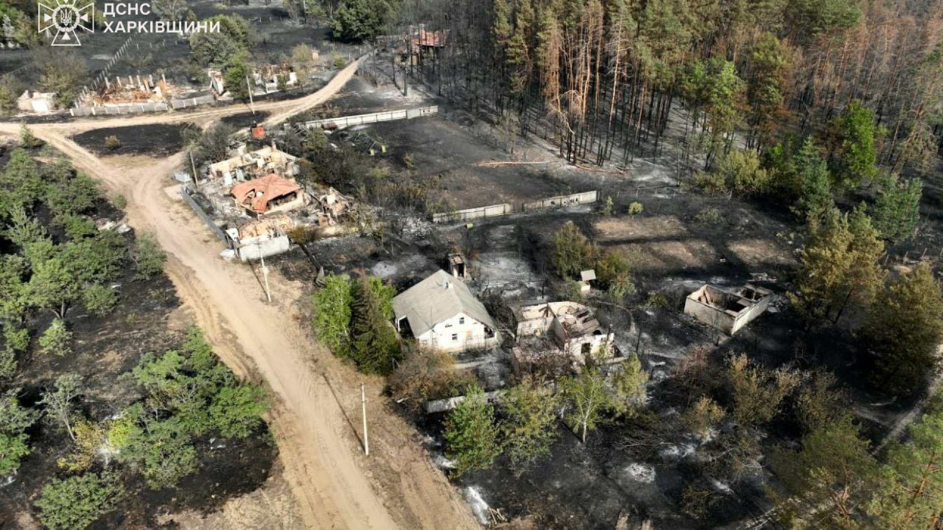 Три доби рятувальники гасять лісову пожежу під Святогірськом