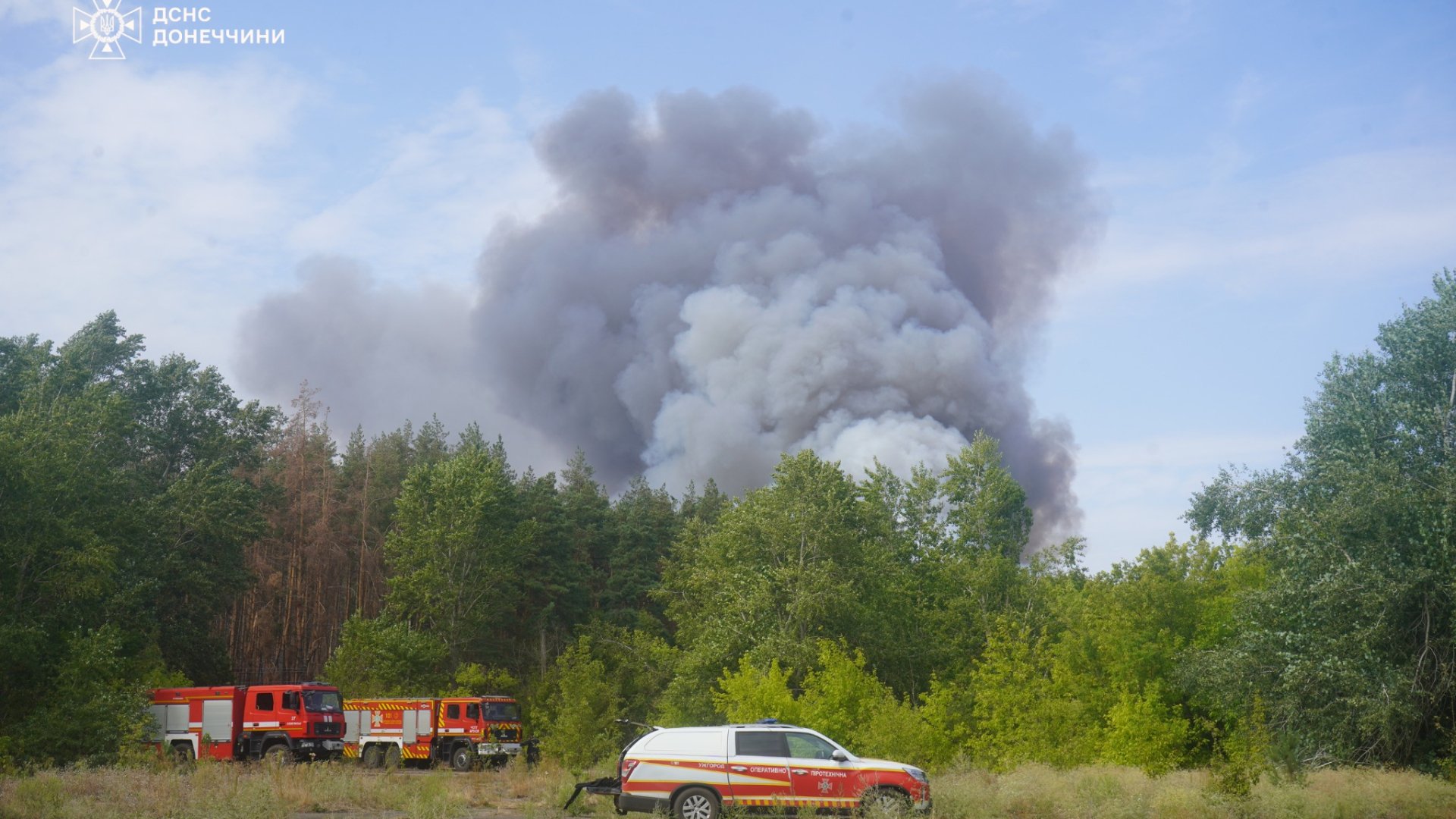 П'яту добу тривають лісові пожежі під Святогірськом