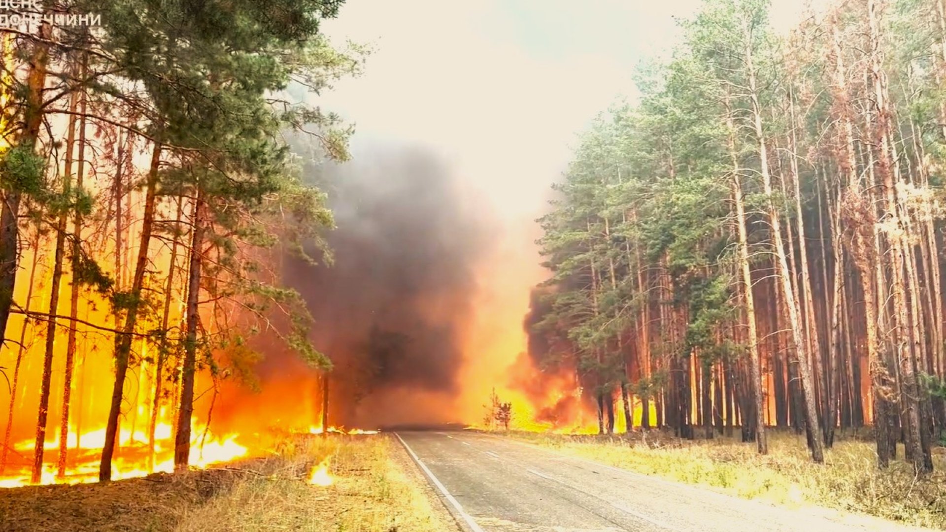 Рятувальники четверту добу гасять пожежу під Святогірськом