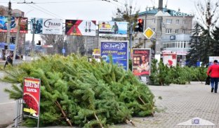 У Слов'янську починають працювати ялинкові базари Ялинковий базар у Слов'янську. Фото - з архіву Карачуна
