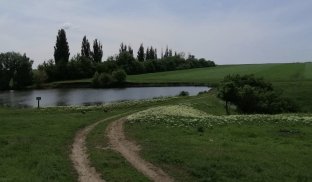 В селі неподалік Слов’янська залишився один житель