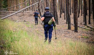 Розмінування на Донеччині Донецька область забруднена вибухонебезпеченими предметами