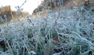 В Україну йдуть перші заморозки Вночі на Донеччині буде мороз