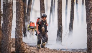 Лісову пожежу на території нацпарку «Святі гори» локалізовано  Лісову пожежу на території нацпарку «Святі гори» локалізовано