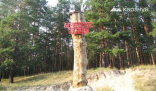 Студенок потопає в соснових лісах Знак «Бережіть ліс від вогню» в районі Студенка