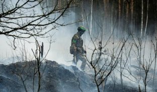 Україні запропонували компроміси заради миру: США чекають відповіді цього тижня — WSJ Україні запропонували компроміси заради миру: США чекають відповіді цього тижня — WSJ