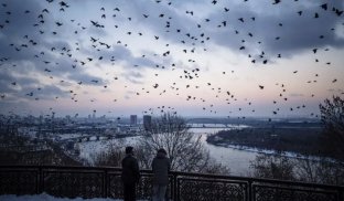 Масові відключення електрики в Україні взимку: експерти назвали можливі сценарії Масові відключення електрики в Україні взимку: експерти назвали можливі сценарії