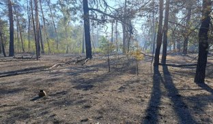 Святогірськ атакували вперше за півтора року: відео