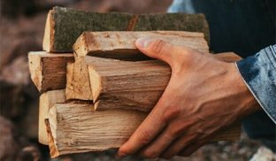 Автор законопроєкту пояснив, скільки можна зберігати дров без загрози в’язниці Автор законопроєкту пояснив, скільки можна зберігати дров без загрози в’язниці