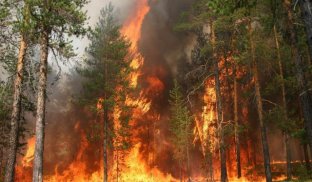 Пожежна небезпека Погодні умови сприятимуть пожежам на відкритій місцевості