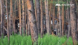 У Святогірську горів ліс Сосни у Святогірську