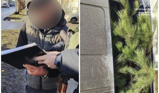 У Слов'янську виявили водія з ознаками сп’яніння Водій перевозив ялинки без документів