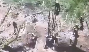 У Донецькій області росіяни розстріляли трьох полонених військових ЗСУ У Донецькій області росіяни розстріляли трьох полонених військових ЗСУ