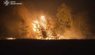 Під Лиманом гасять масштабну пожежу: вогонь пройшов понад 200 гектарів Під Лиманом гасять масштабну пожежу: вогонь пройшов понад 200 гектарів
