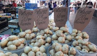 Ціни на картоплю у Слов'янську
