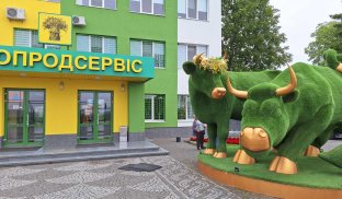 150 мільйонів гривень, вкладені у напівруїни: як працюють інвестиції під час війни