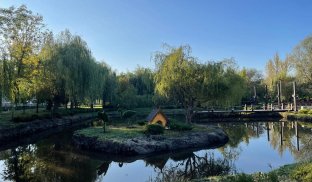 Як одні жителі Слов’янська позбавляють краси інших Як одні жителі Слов’янська позбавляють краси інших