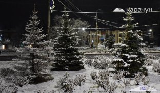 Кому у Слов'янську присвоять звання Почесних громадян У Слов'янську вшановують пам'яьб загиблих героїв