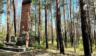 У Святогірську сталася масштабна лісова пожежа