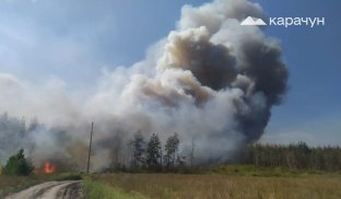 Лісова пожежа знищила частину будинків у Яровій