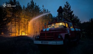 Гассіння лісової пожежі під Святогірськом Четверту добу триває лісова пожежа під Святогірськом