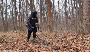 Під Святогірськом розчищають ліс від вибухонебезпечних предметів Під Святогірськом розчищають ліс від вибухонебезпечних предметів