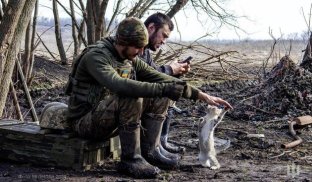 Мобілізовані мають замінити 330 тисяч виснажених військових Наразі народні депутати розглядають правки до законопроєкту