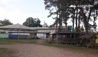 Люди працюють, як коні, щоб коні жили, як люди