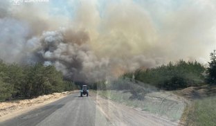 Пожежа у лісі під Лиманом. 7 травня 2024 рік Пораховані збитки від пожежі під Лиманом