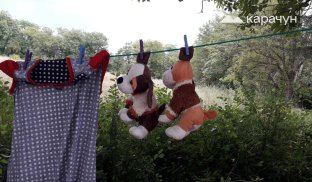 Життя вимушених переселенців