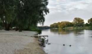 В Святогорске и громаде запретили купаться на пляжах В Святогорске и громаде запретили купаться на пляжах