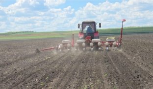 На скільки може подорожчати хліб: розрахунки фермера зі Слов’янщини