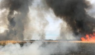 Пожежа на відкритій місцевості Висока загроза вининкення пожеж