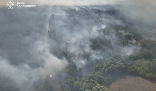 Рятувальники 2 доби гасять пожежу у лісі під Балаклією Рятувальники 2 доби гасять пожежу у лісі під Балаклією