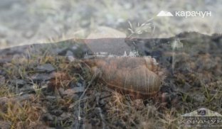 У Святогірську чоловік підірвався на міні Постраждалого доставили у лікарню