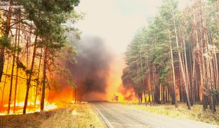 Пожежа у Нацпарку "Святі гори" Рятувальники четверту добу гасять пожежу під Святогірськом