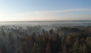 Під Святогірськом продовжують гасити лісові пожежі: відео