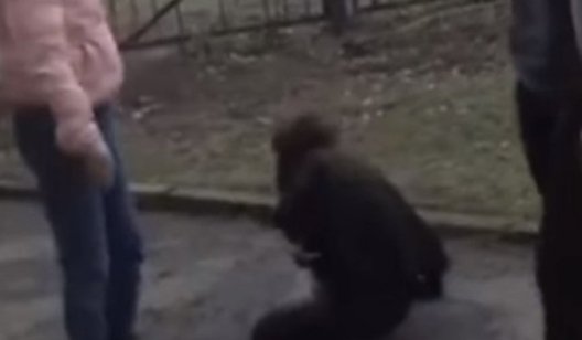 В Славянске две девушки избили 14-летнюю школьницу