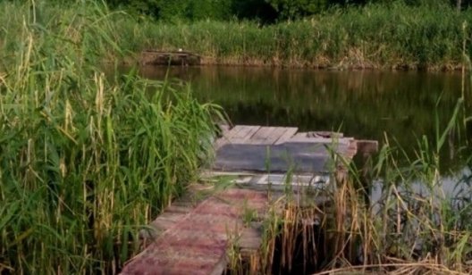 В Донецкой области 17-летний парень погиб от удара током на реке