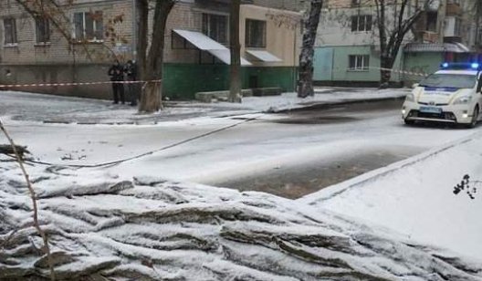Вчера в Славянске на проезжую часть упали два дерева