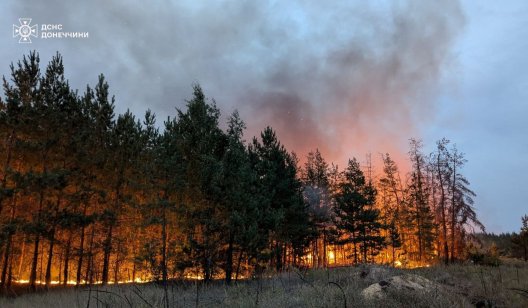 Пожежі під Святогірськом можуть бути перекваліфіковані на надзвичайну ситуацію військового характеру державного рівня 