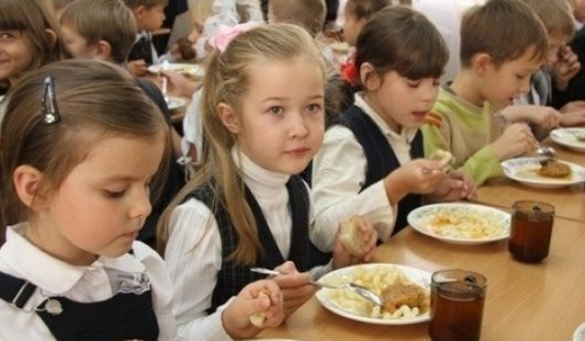 Как в Славянске в 2019 году будут предоставляться льготы на питание в учебных заведениях
