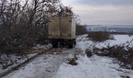 В Славянском районе опять зафиксирована незаконная вырубка леса