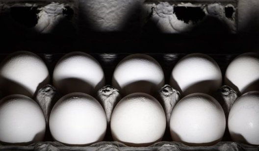 В Україні будуть по-новому продавати курячі яйця: як зміняться вимоги
