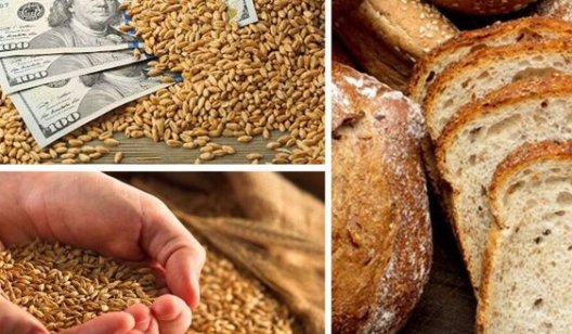 Зерно взлетело в цене: бизнес заработает, а украинцы заплатят больше за хлеб и мясо