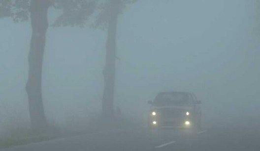 В Донецкой области ожидается ухудшение видимости на дорогах из-за тумана